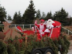 https://townofclarkesbeach.com/ Christmas Time in Clarke's Beach